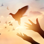 picture-peace@2x