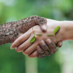 picture-handshake-nature@2x