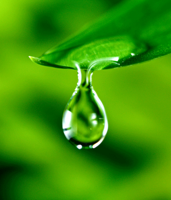water-conservation